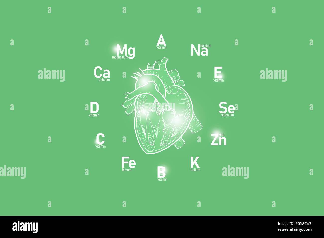 Stilisiertes Ziffernblatt mit lebenswichtigen Vitaminen und Mikroelementen für die menschliche Gesundheit, handgezeichnetes Herz, hellgrüner Hintergrund. Stockfoto