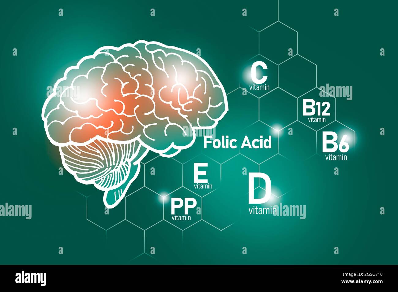 Essentielle Nährstoffe für die Gesundheit des Gehirns, einschließlich Vitamin C, Vitamin B, Folsäure, Vitamin PP. Design-Set der wichtigsten menschlichen Organe mit Vitaminen Stockfoto