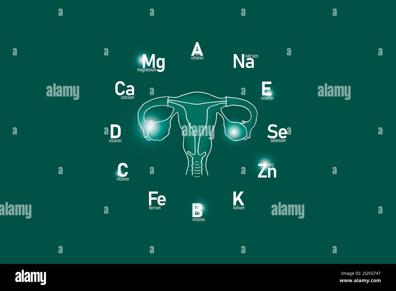 Stilisiertes Ziffernblatt mit lebenswichtigen Vitaminen und Mikroelementen für die menschliche Gesundheit, handgezeichneter Gebärmutter, tiefgrüner Hintergrund. Stockfoto