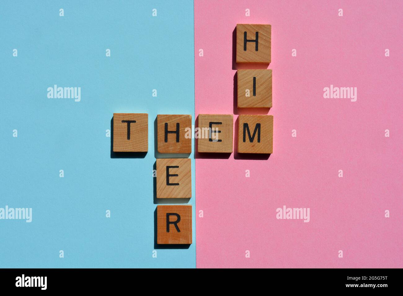 Er, sie, sie, Geschlechterpronomen in Kreuzworträtsel auf rosa und blauem Hintergrund Stockfoto