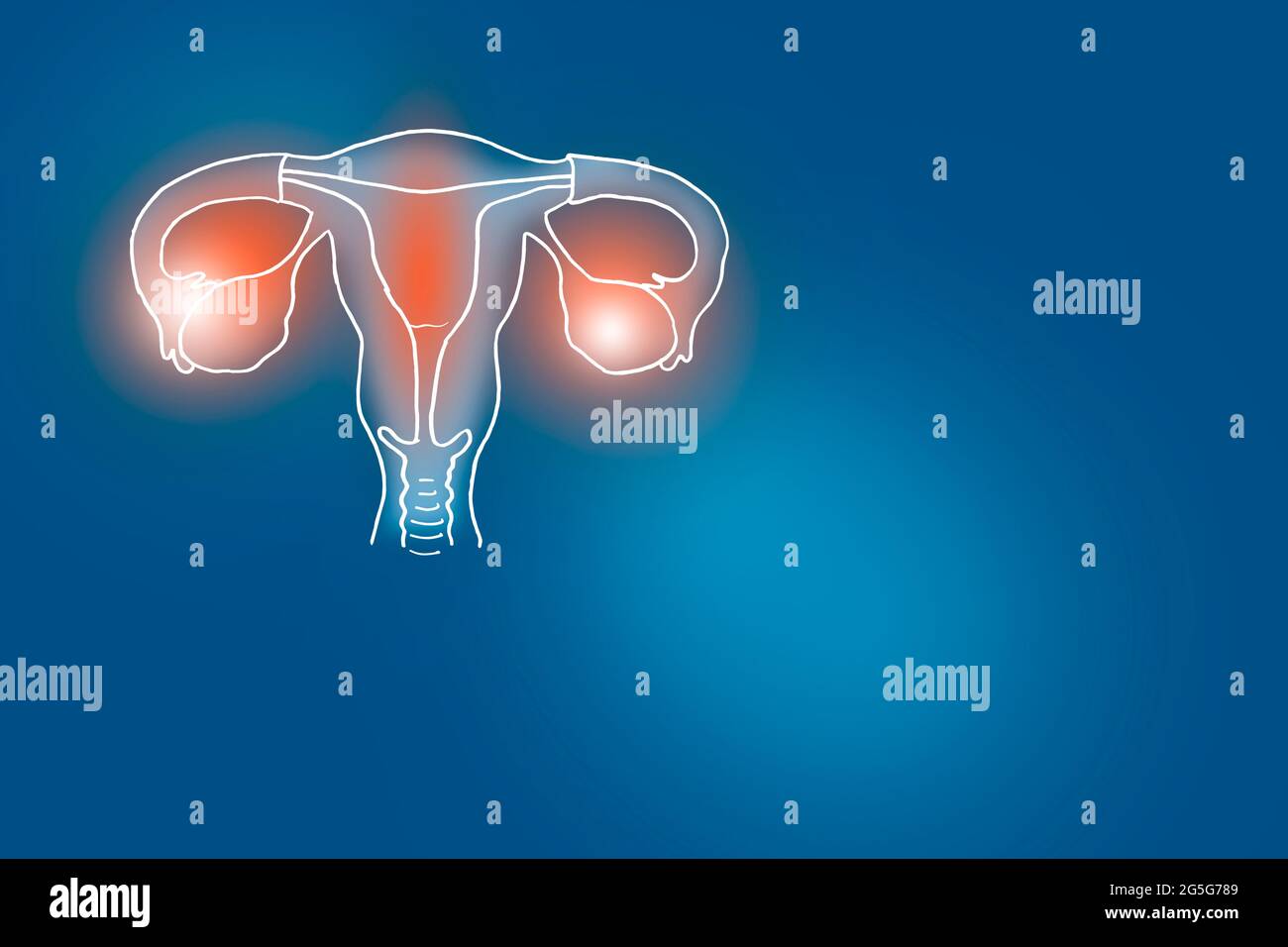 Von Hand gezeichnete Illustration des menschlichen Uterus auf dunkelblauem Hintergrund. Medizin, Wissenschaftsset mit menschlichen Hauptorganen mit leerem Kopierraum für Text oder Infograf Stockfoto