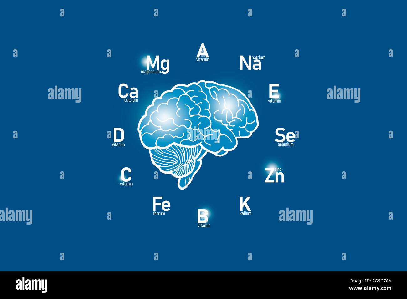 Stilisiertes Zifferblatt mit lebenswichtigen Vitaminen und Mikroelementen für die menschliche Gesundheit, handgezeichnetes Gehirn, dunkelblauer Hintergrund. Design-Modell für das Gesundheitswesen. Stockfoto