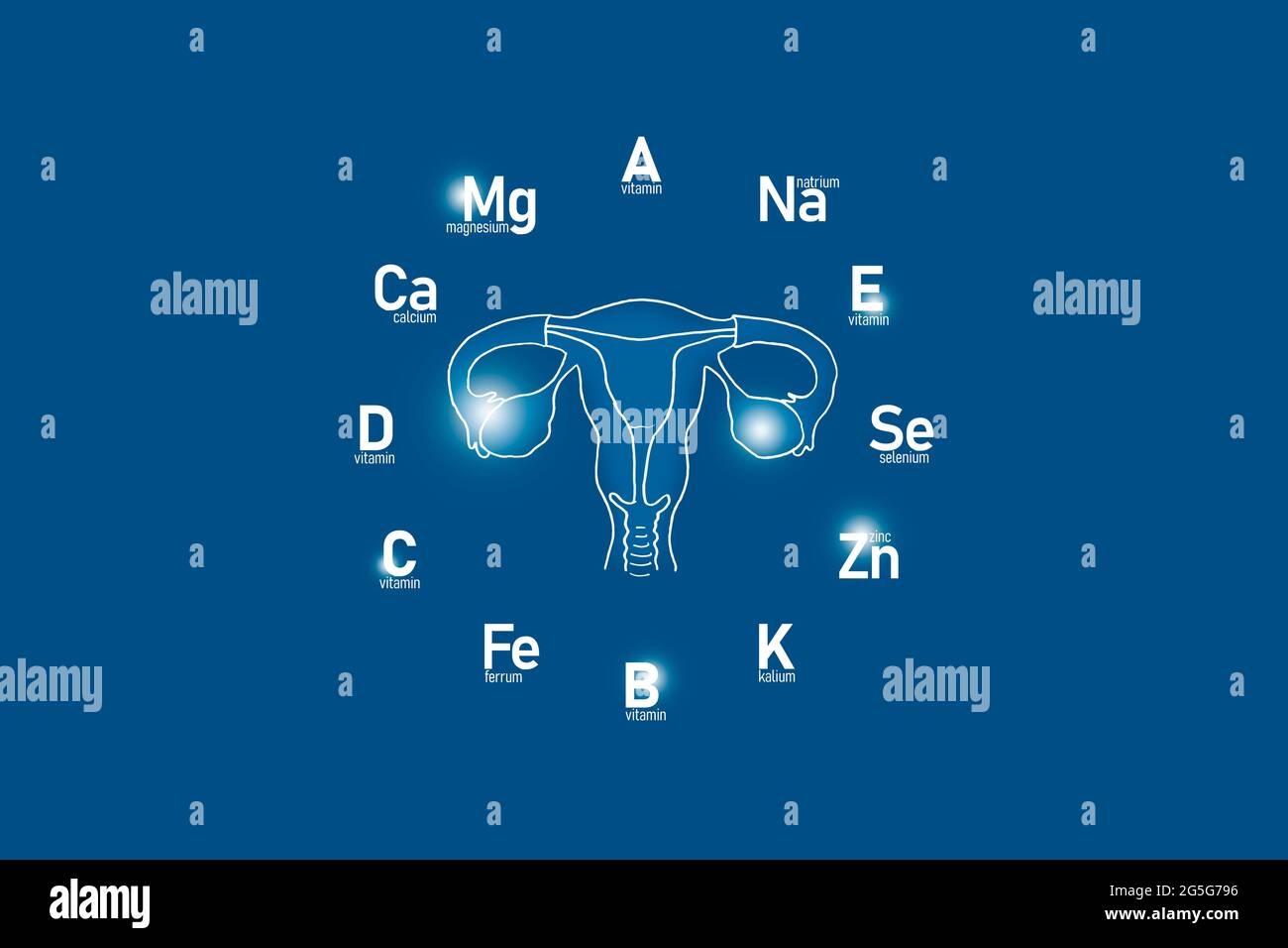 Stilisiertes Ziffernblatt mit lebenswichtigen Vitaminen und Mikroelementen für die menschliche Gesundheit, handgezeichneter Gebärmutter, dunkelblauer Hintergrund. Stockfoto