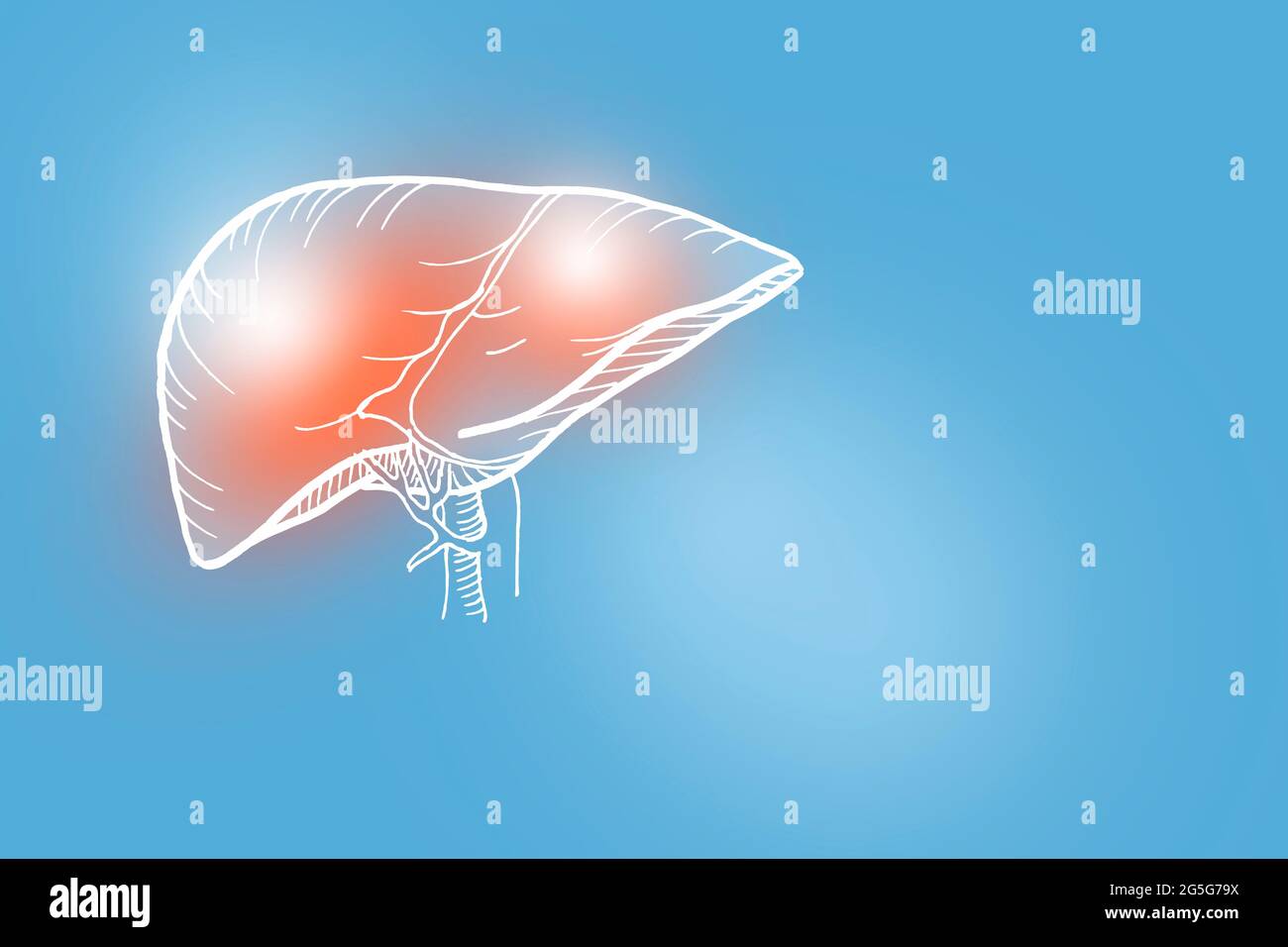 Von Hand gezeichnete Illustration der menschlichen Leber auf hellblauem Hintergrund. Medizin, Wissenschaftsset mit menschlichen Hauptorganen mit leerem Kopierraum für Text Stockfoto