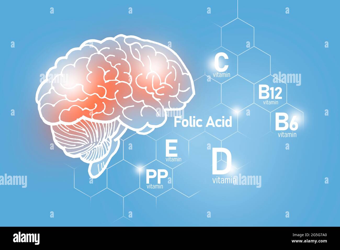 Essentielle Nährstoffe für die Gesundheit des Gehirns, einschließlich Vitamin C, Vitamin B, Folsäure, Vitamin PP. Design-Set der wichtigsten menschlichen Organe auf blauem Hintergrund Stockfoto