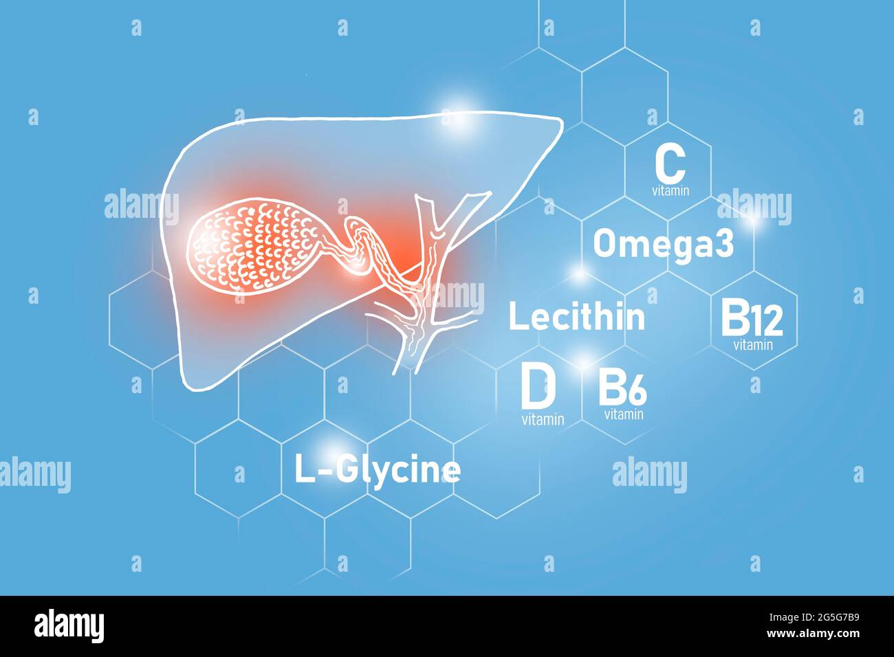 Essentielle Nährstoffe für die Gesundheit der Gallenblase, darunter Omega 3, L-Glycin, Omega3, Lecithin auf hellblauem Hintergrund. Stockfoto