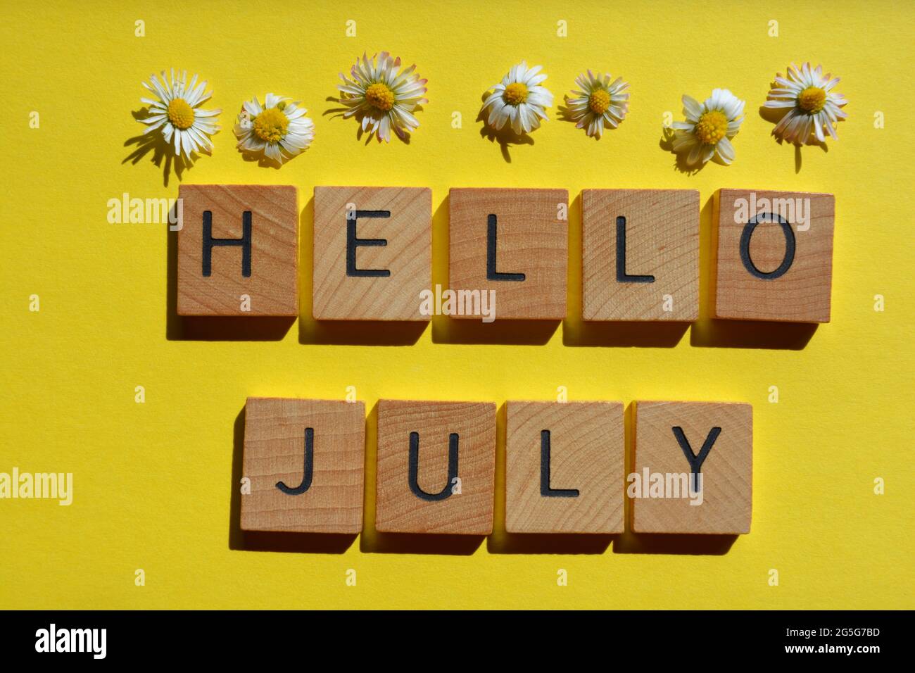 Hallo Juli, Wörter in hölzernen Buchstaben mit Gänseblümchen, isoliert auf gelbem Hintergrund Stockfoto