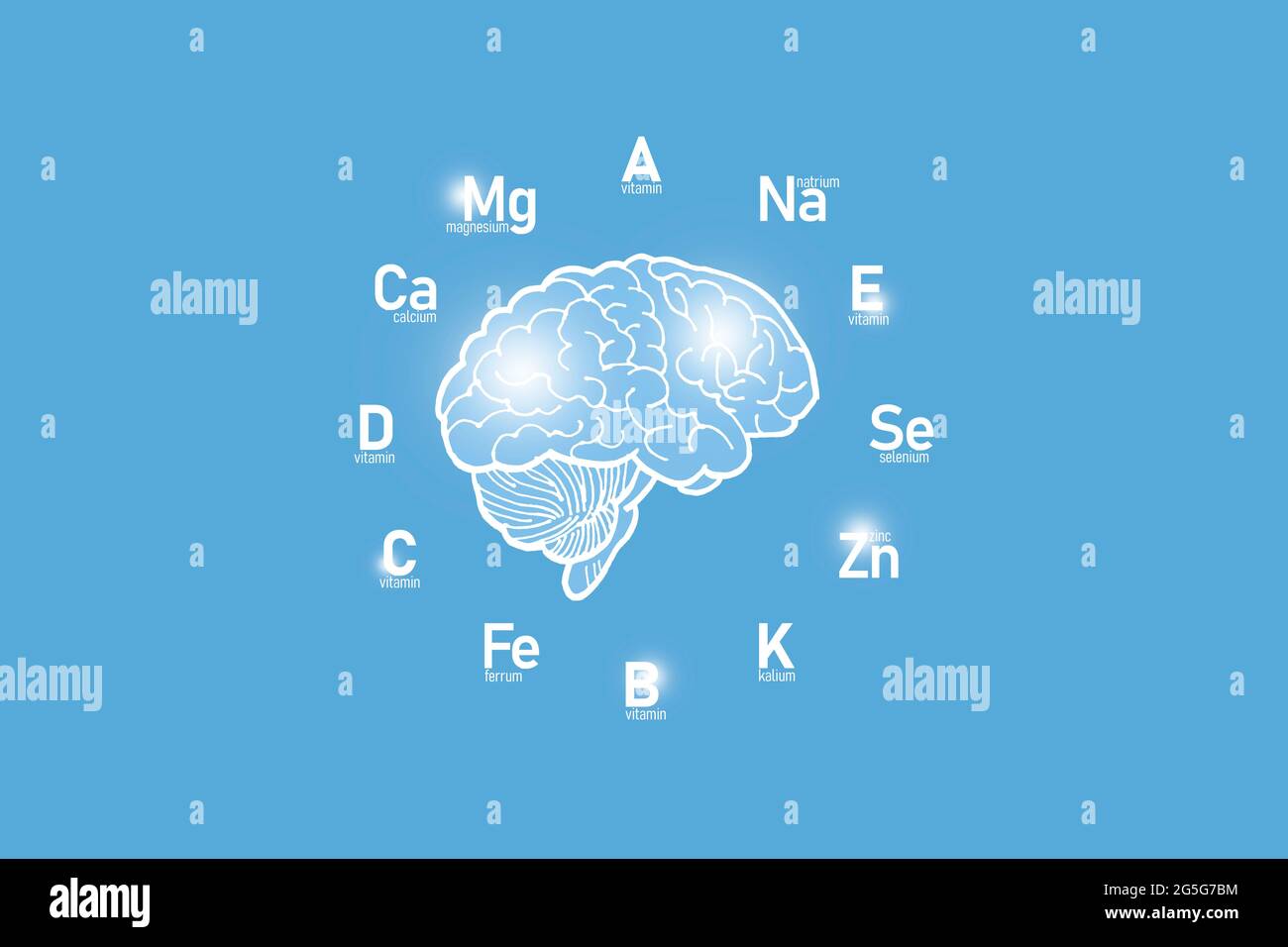 Stilisiertes Zifferblatt mit lebenswichtigen Vitaminen und Mikroelementen für die menschliche Gesundheit, handgezeichnetes Gehirn, hellblauer Hintergrund. Nachbau im Gesundheitswesen Stockfoto