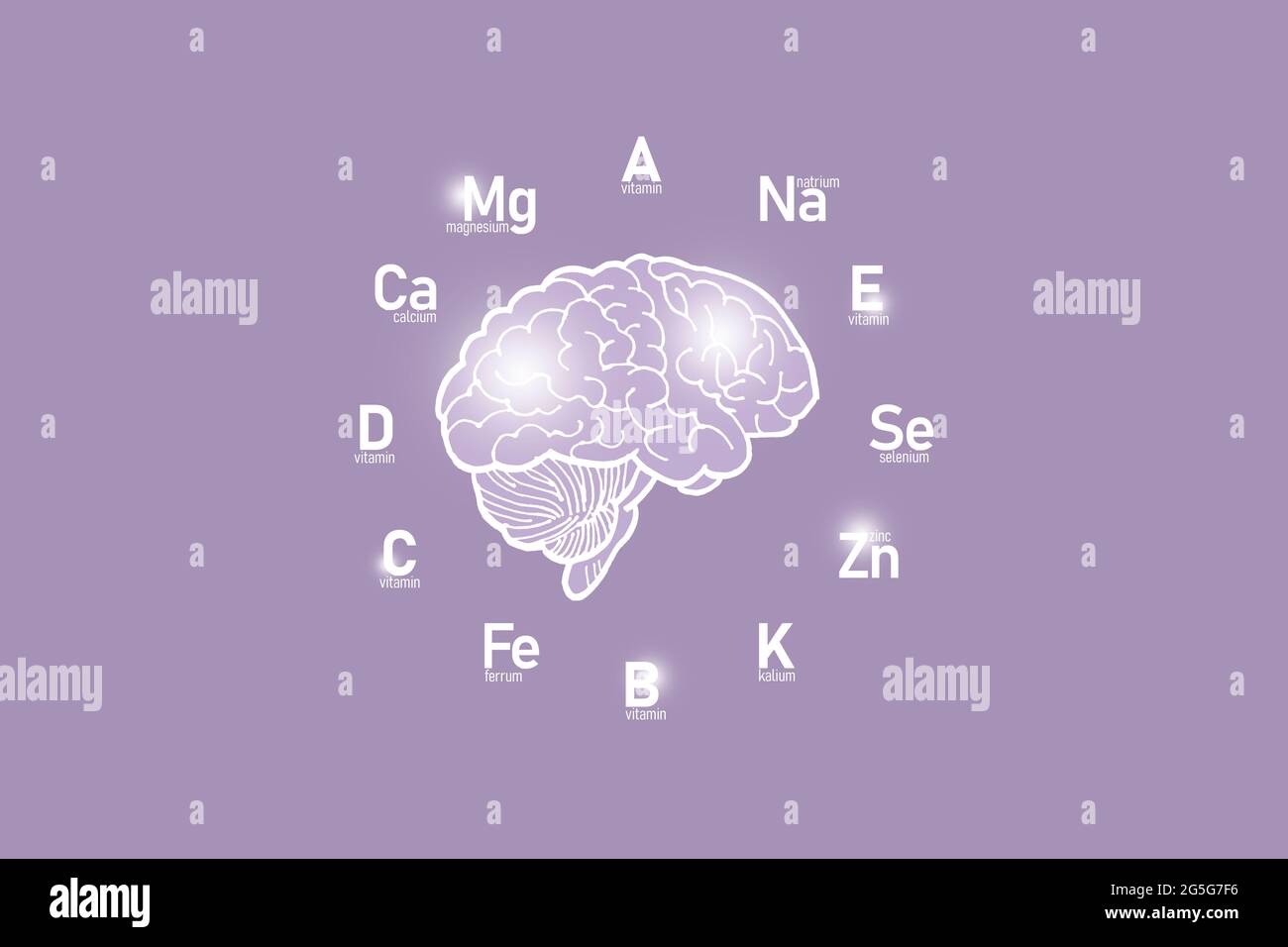 Stilisiertes Ziffernblatt mit lebenswichtigen Vitaminen und Mikroelementen für die menschliche Gesundheit, handgezeichnetes Gehirn, lilafarbiger Hintergrund. Design-Modell für Gesundheitskonzepte. Stockfoto