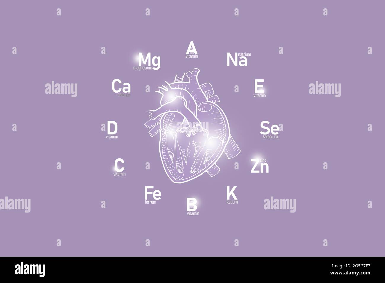 Stilisiertes Ziffernblatt mit lebenswichtigen Vitaminen und Mikroelementen für die menschliche Gesundheit, handgezeichnetes Herz, lilafarbiger Hintergrund. Design-Modell für Gesundheitskonzepte. Stockfoto