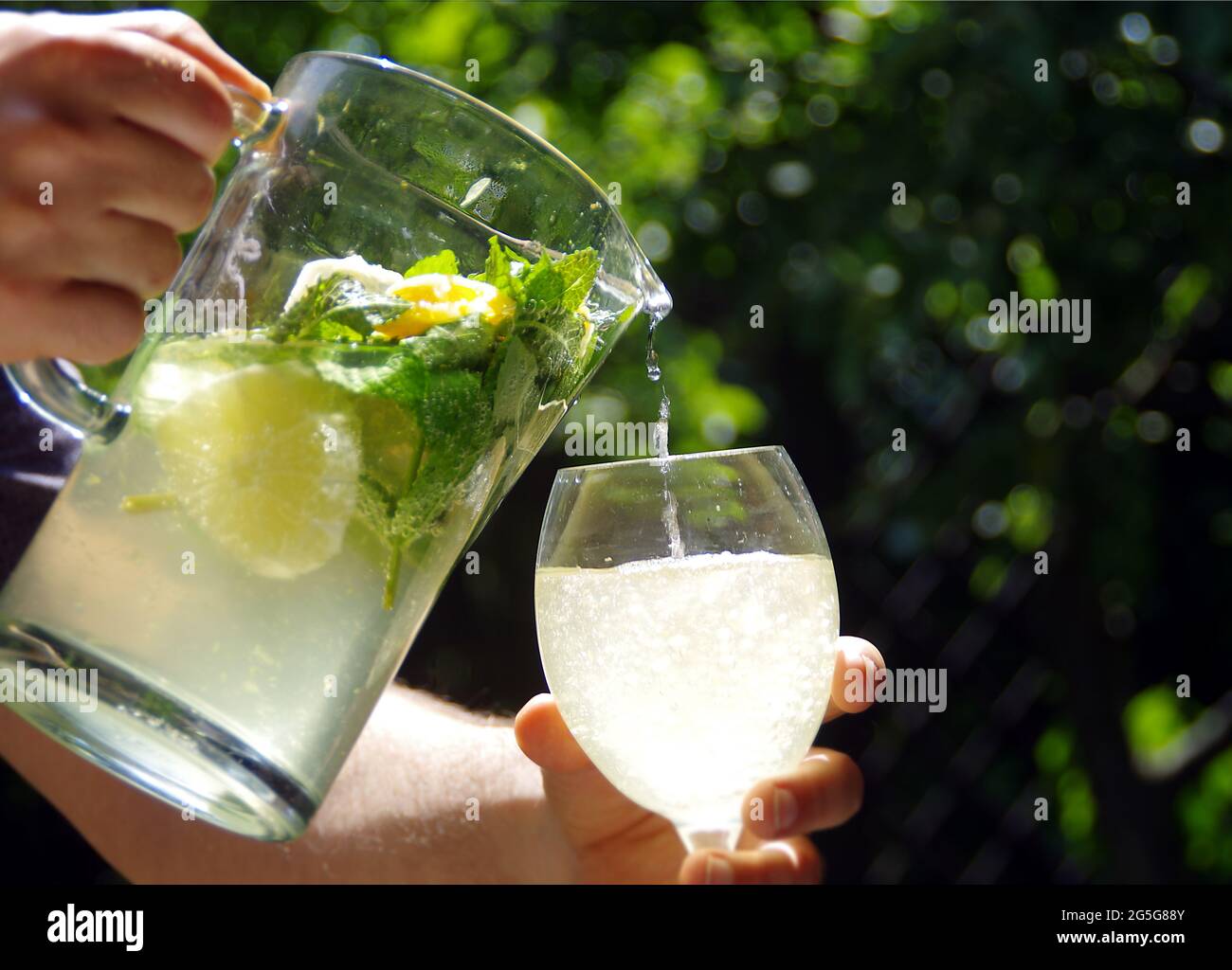 Kühle und frische hausgemachte Limonade. Ein kaltes Zitronengetränk mit Zitrusscheiben, aus einem Krug in ein Glas gegossen. Bio Minzgetränk mit grünen Blättern. Stockfoto