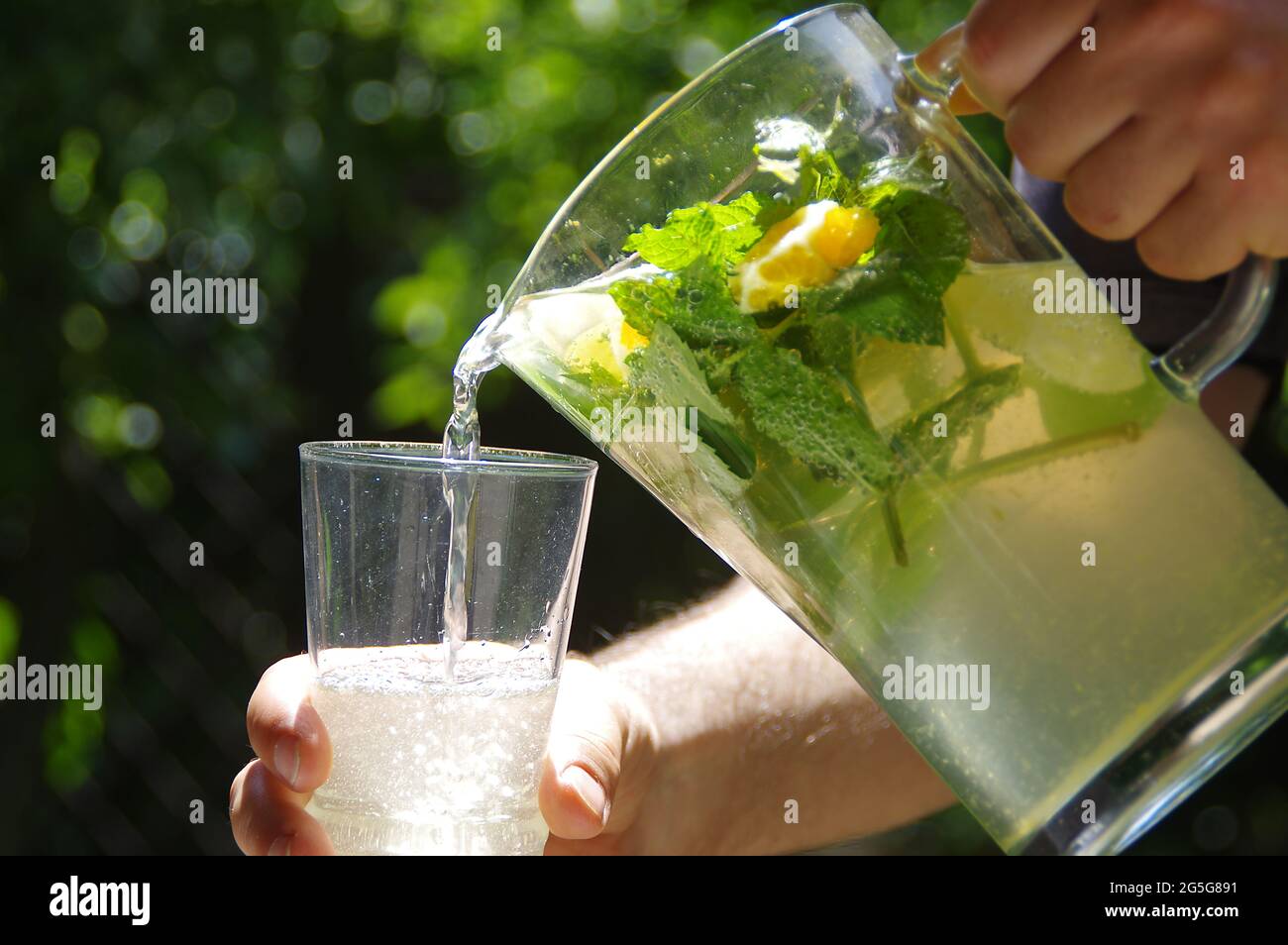 Kühle und frische hausgemachte Limonade. Ein kaltes Zitronengetränk mit Zitrusscheiben, aus einem Krug in ein Glas gegossen. Bio Minzgetränk mit grünen Blättern. Stockfoto