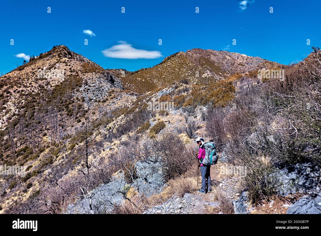 Wandern zum Miller Peak, Arizona Trail, Arizona, USA Stockfoto