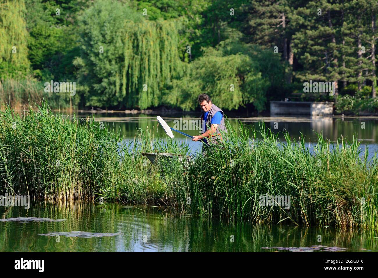 Wien, Österreich. Der Gärtner reinigt das Wasser im Wasserpark floridsdorf Stockfoto