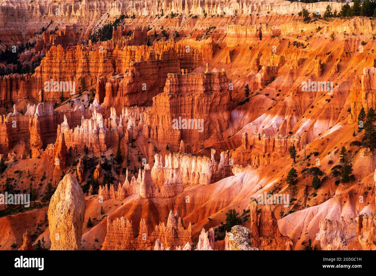 Bryce Amphitheater kurz nach Sonnenaufgang im Bryce Canyon National Park, Utah Stockfoto