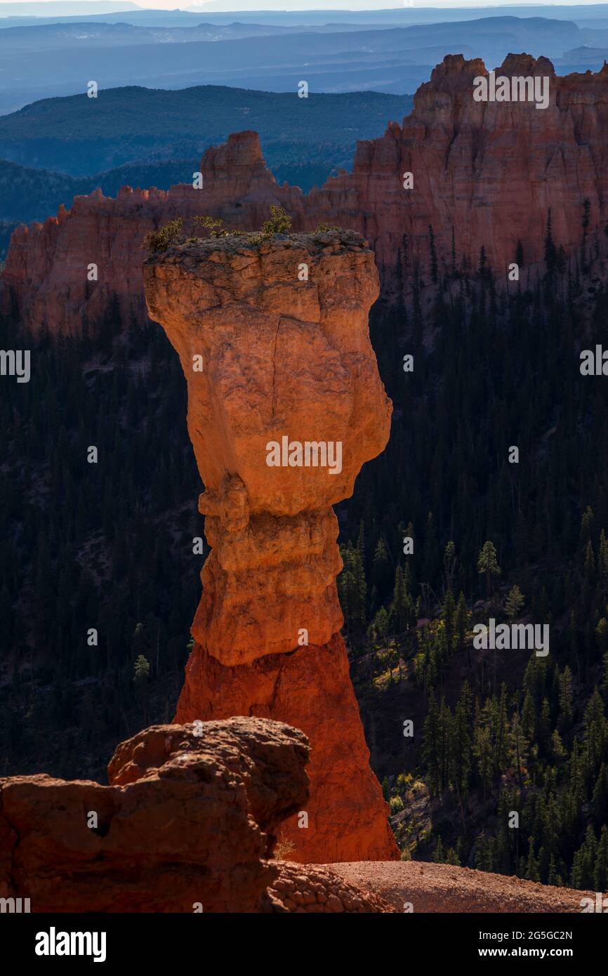 Die Hunter-Felsformation vom Agua Canyon im Bryce Canyon National Park, Utah Stockfoto