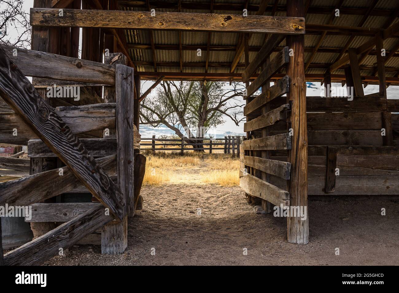 Die Türen und Fenster des Südwestens der USA Stockfoto