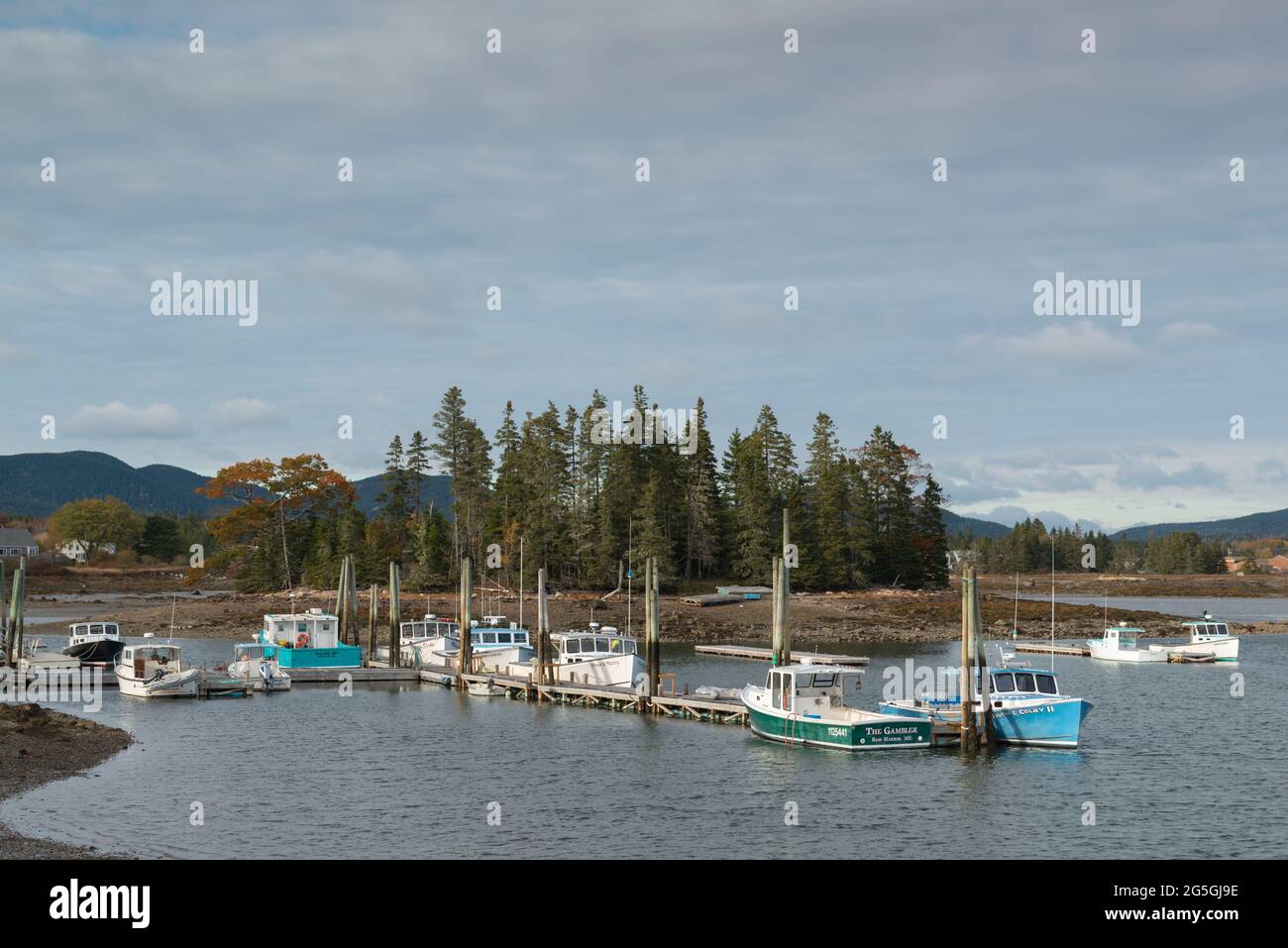 Fischerboote liegen am schwimmenden Dock in Tremont Harbor, Maine, vor Johns Island bei Low Tide Stockfoto