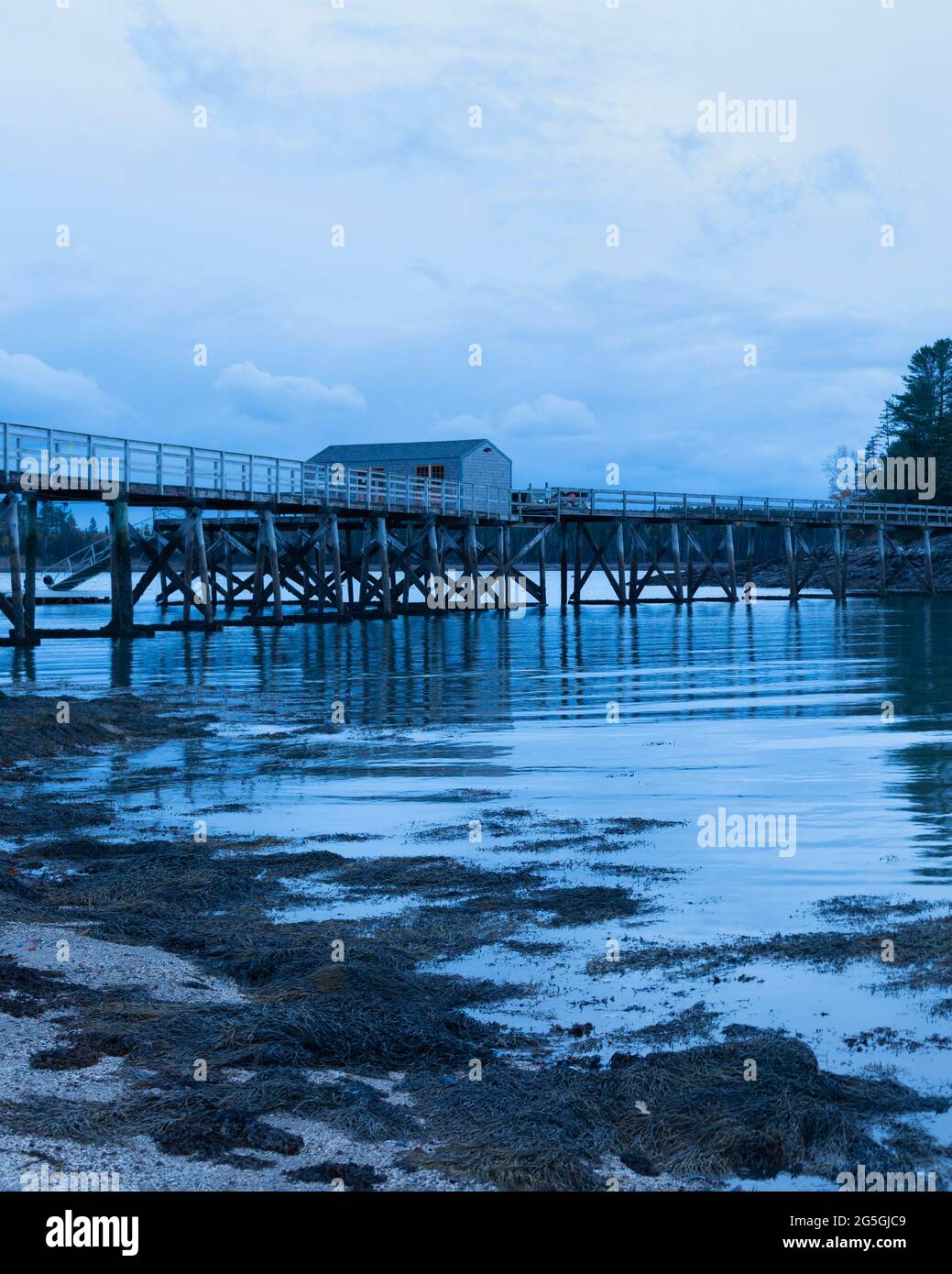 Der hölzerne Gehweg über Gilpatrick Cove in Northeast Harbor, Maine, bei Dämmerung, mit dem Shack am Eingang zum Floating Dock auf halber Strecke gegenüber Stockfoto