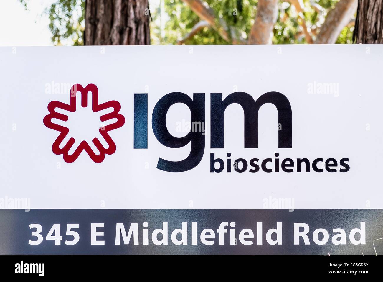 Sep 26, 2020 Mountain View / CA / USA - Logo von IGM BioSciences in ihren Büros im Silicon Valley; IGM BioSciences, Inc ist ein Biotechnologie-Unternehmen, das Stockfoto