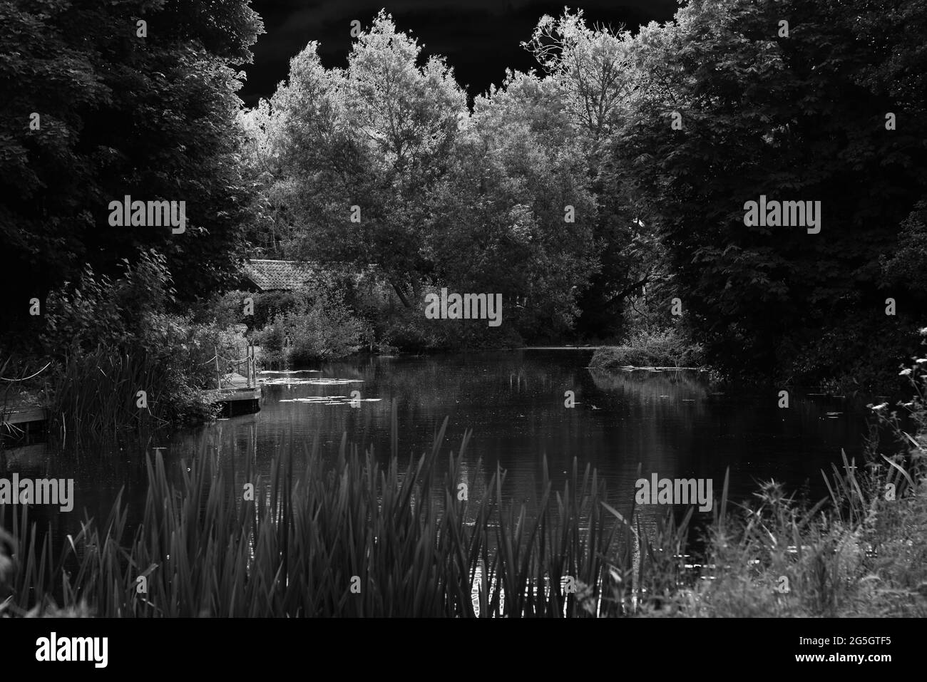 Allgemeine Ansicht der englischen ländlichen Landschaft in Großbritannien, im Sommer 2021. Stockfoto
