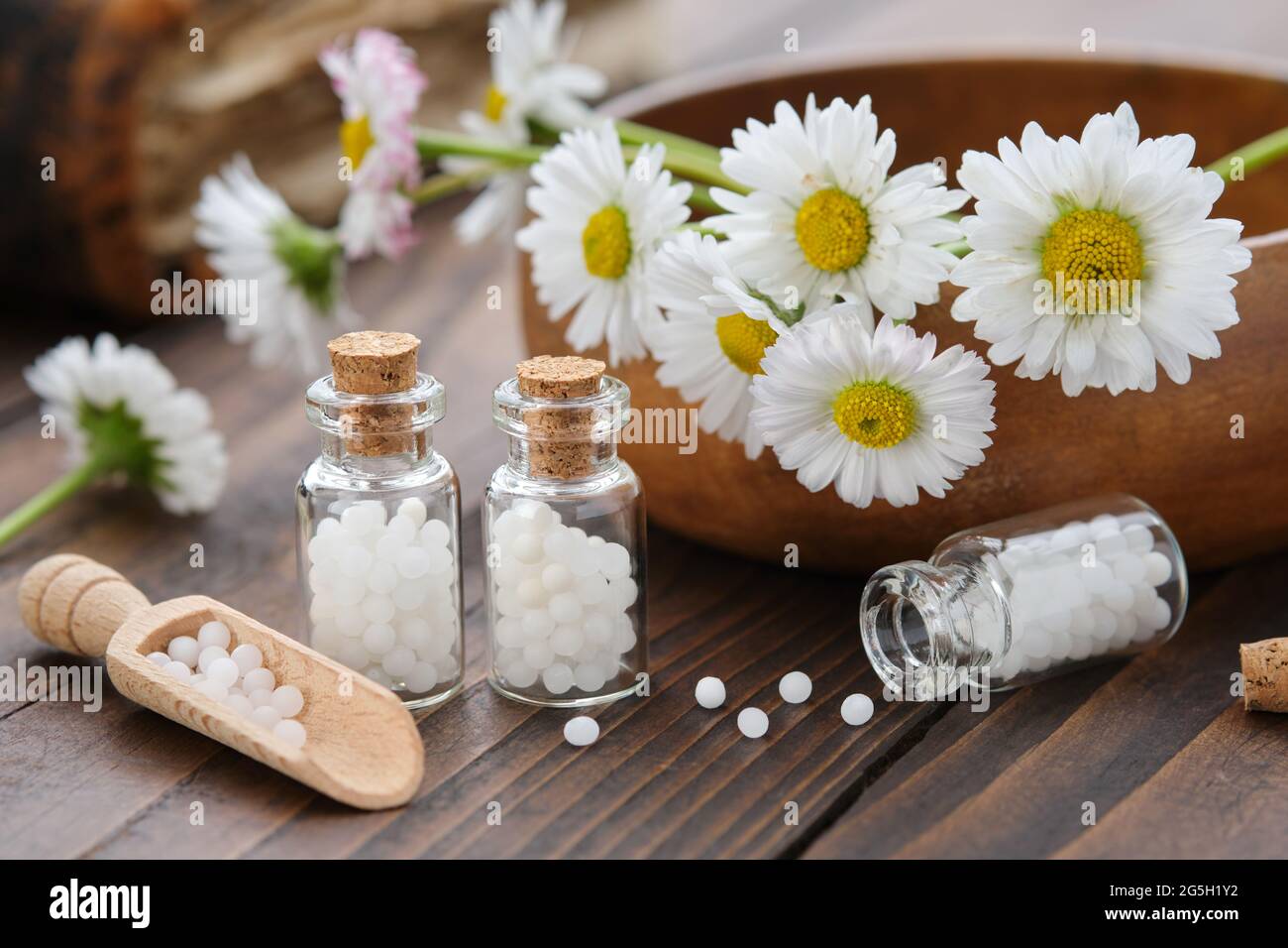 Flaschen mit Homöopathie-Granulat. Homöopathisches Mittel - Chamomilla. Gänseblümchen Blumen in Holzschale. Konzept der Homöopathie. Stockfoto