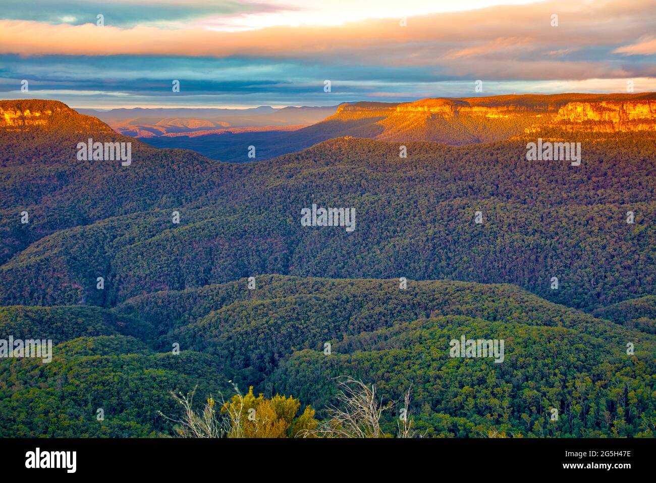 Blick von den 3 Schwestern, Katoomba, Australien. Bei Sonnenaufgang Stockfoto