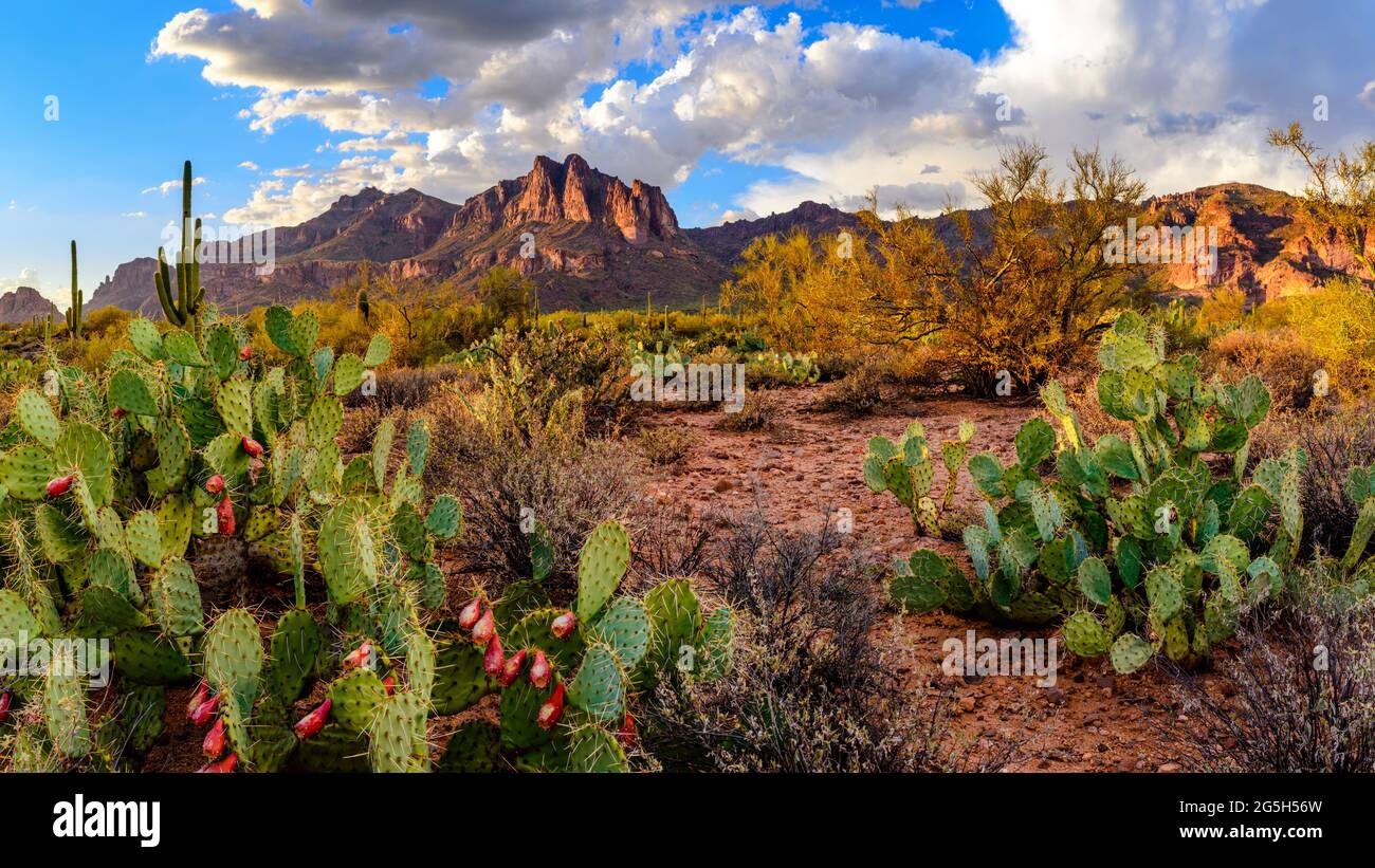 Superstition Mountains, Arizona, USA Stockfoto