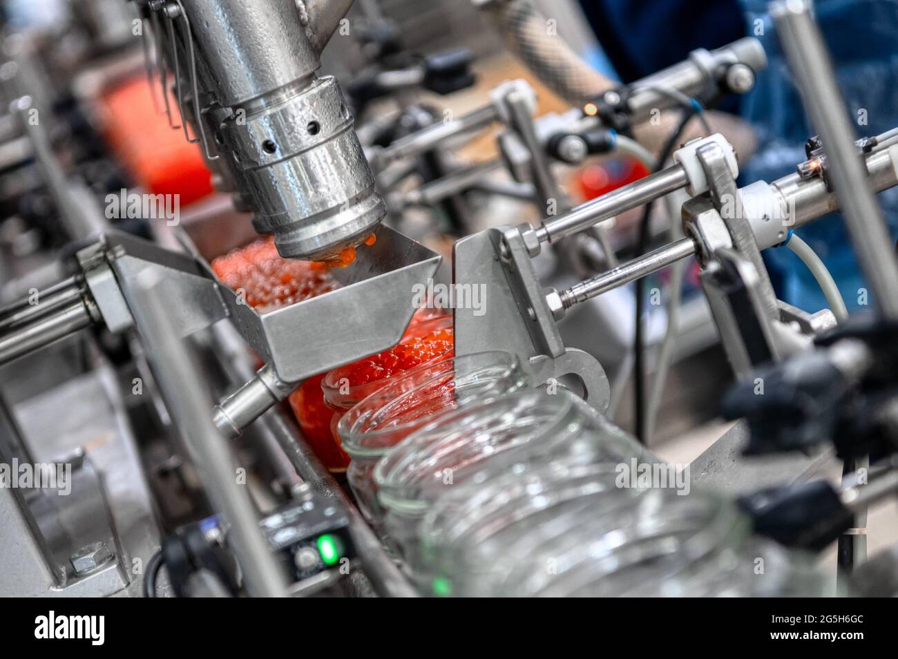 Maschine zum Befüllen von rotem Kaviar in Glasgefäße. Abfüllanlagen, Lebensmittelindustrie Stockfoto