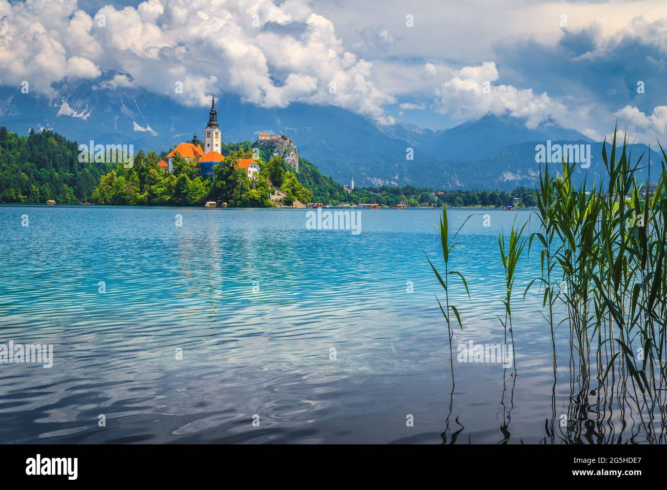 Schöner Panoramablick vom Seeufer mit Kirche und Schloss, Bled, Slowenien, Europa Stockfoto
