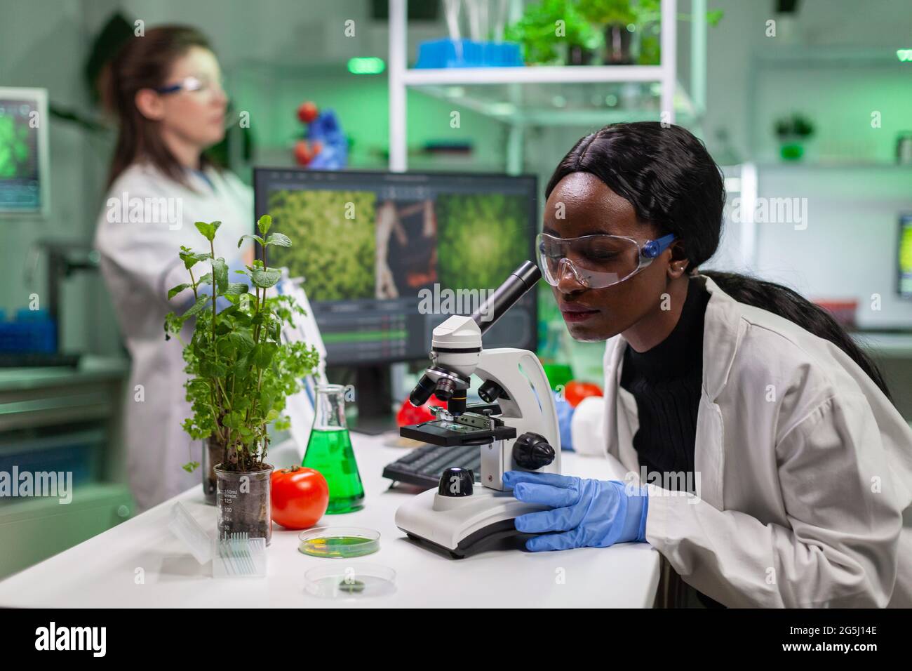 Biologe Forscher Wissenschaftler betrachten Blattprobe unter einem medizinischen Mikroskop, während sie biologische Expertise auf Notizblock schreiben. Chemiker untersucht biologische Entdeckungen im Labor für Mikrobiologie. Stockfoto