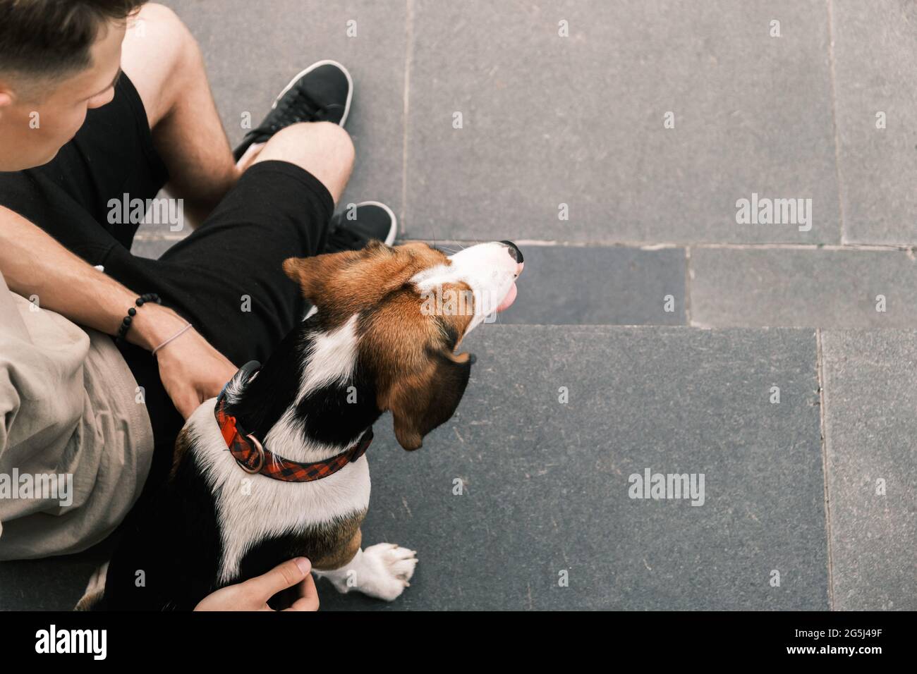 Der Beagle-Hund und sein Besitzer sitzen auf dem Bürgersteig, über dem Kopf geschossen. Lifestyle mit Haustieren im städtischen Bereich, Draufsicht und Kopierraum Stockfoto