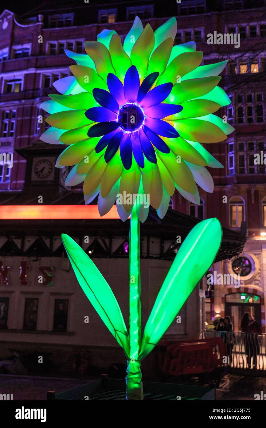 „Nightlife“ von Lantern Company mit Jo Pocock, lluminated Giant Flower, Leicester Square, Lumiere Festival of Lights, London, Großbritannien Stockfoto