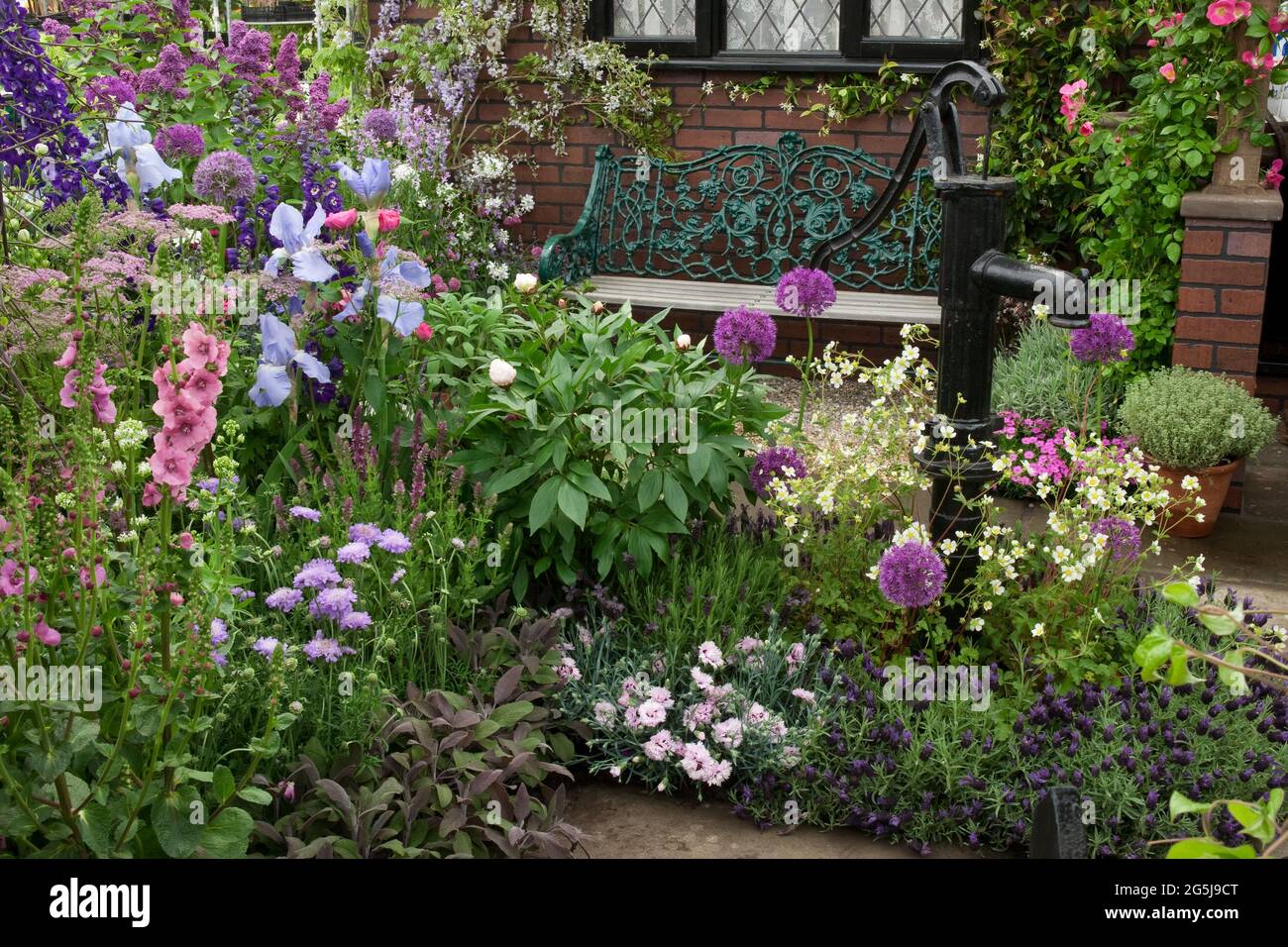 The Cottage Garden“ mit Wasserpumpe und schmiedeeisernem und hölzernen Sitz, umgeben von Allium „Purple Sensation“ und Füchshandschuhen. Stockfoto