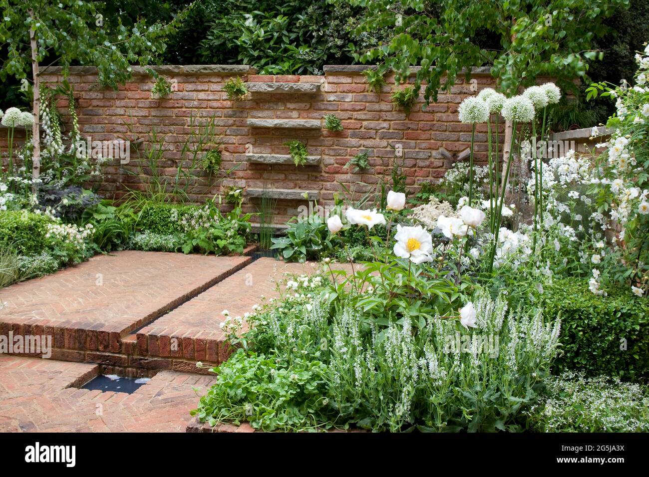 Terrasse aus Fischgrätstein, reclaimed Backsteinmauer, Rill-Wasser-Funktion, Box Würfel und weiße Bepflanzung, Aquilegien, Allien, Geranien und Rosen Stockfoto