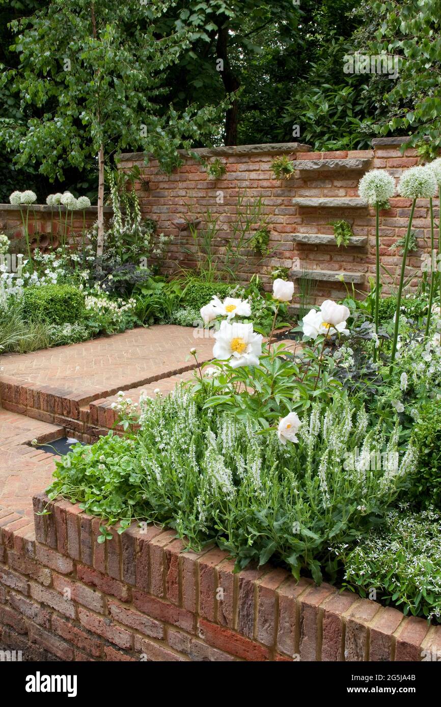 Terrasse aus Fischgrätstein, wiederbeanspruchte Ziegelwände, Rill-Wasserspiel, Kastenwürfel und weiße Bepflanzung, Aquilegien, Allien, Geranien und Rosen Stockfoto