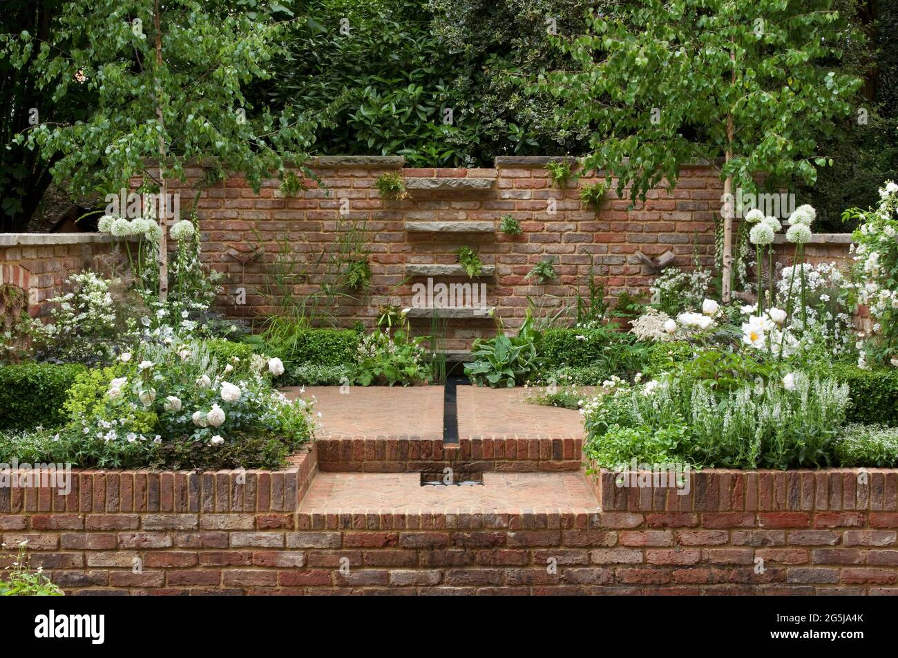 Terrasse aus Fischgrätstein, reclaimed Backsteinmauer, Rill-Wasser-Funktion, Box Würfel und weiße Bepflanzung, Aquilegien, Allien, Geranien und Rosen Stockfoto