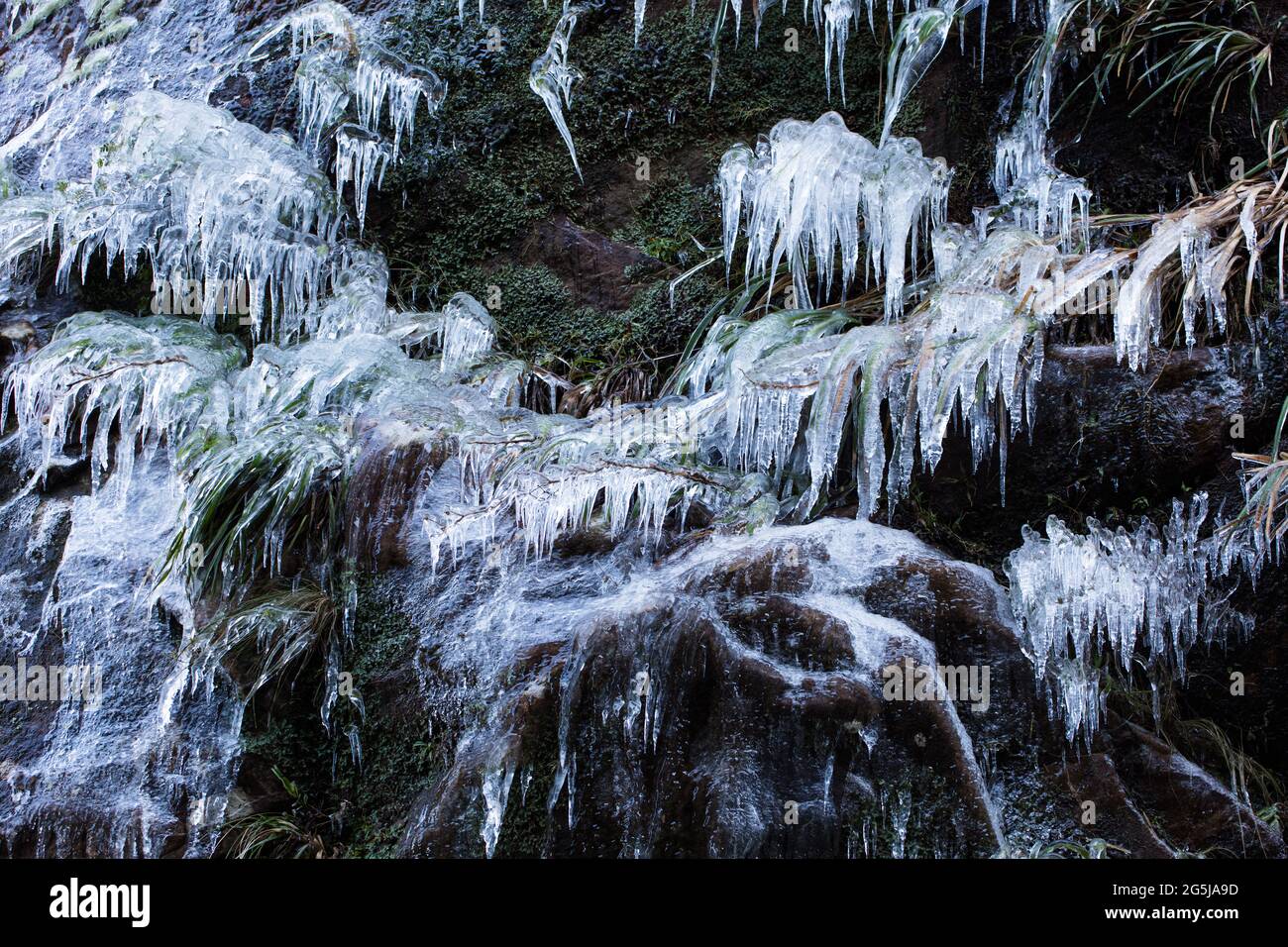 Nahaufnahme der gefrorenen Natur mit Eiszapfen in Brasilien Stockfoto