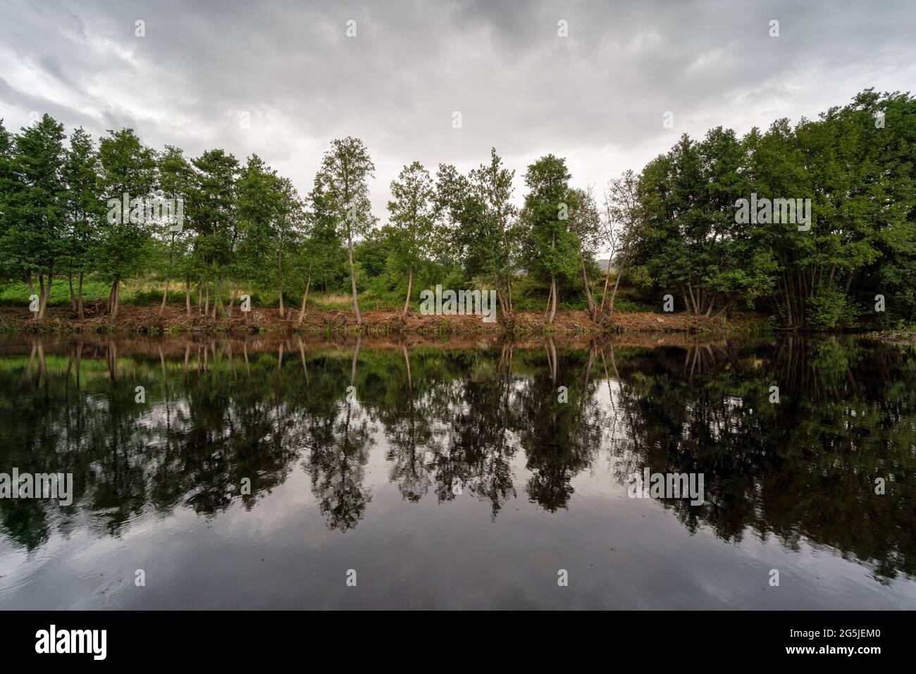 Landschaft mit Bäumen, die sich auf einem Fluss spiegeln Stockfoto