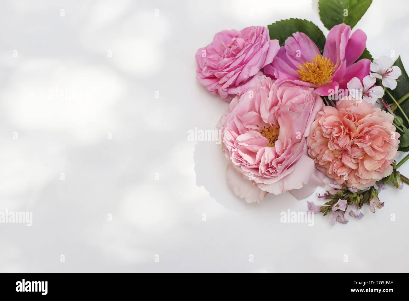 Sommer florale Zierecke. Bunte Gartenblumen und Kräuter isoliert auf weißem Tisch im Sonnenlicht. Englische Rosen, Salbei, Pfingstrose und Geranie blühen Stockfoto