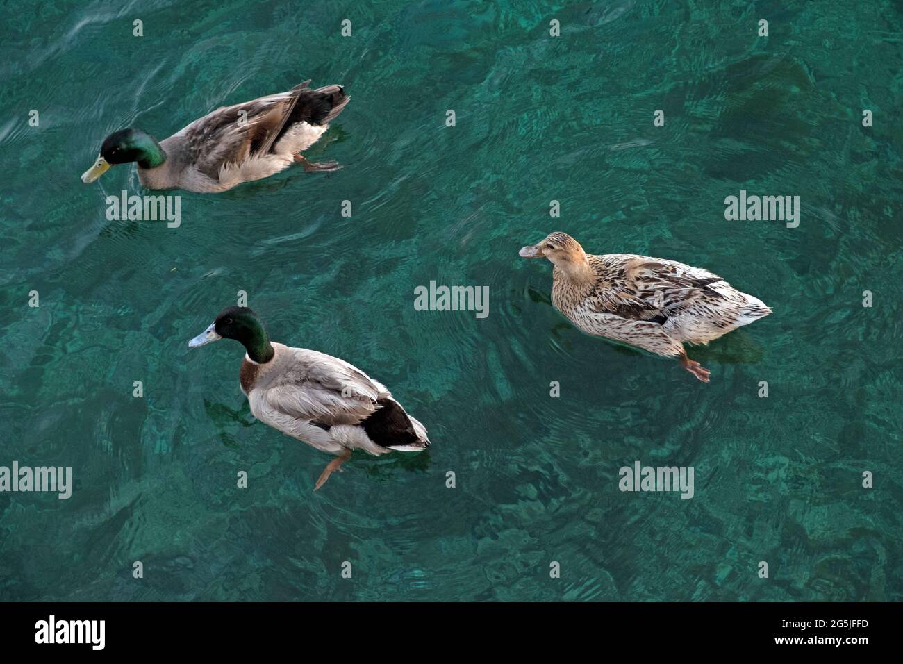 Ciutadela, Menorca, Balearen Stockfoto