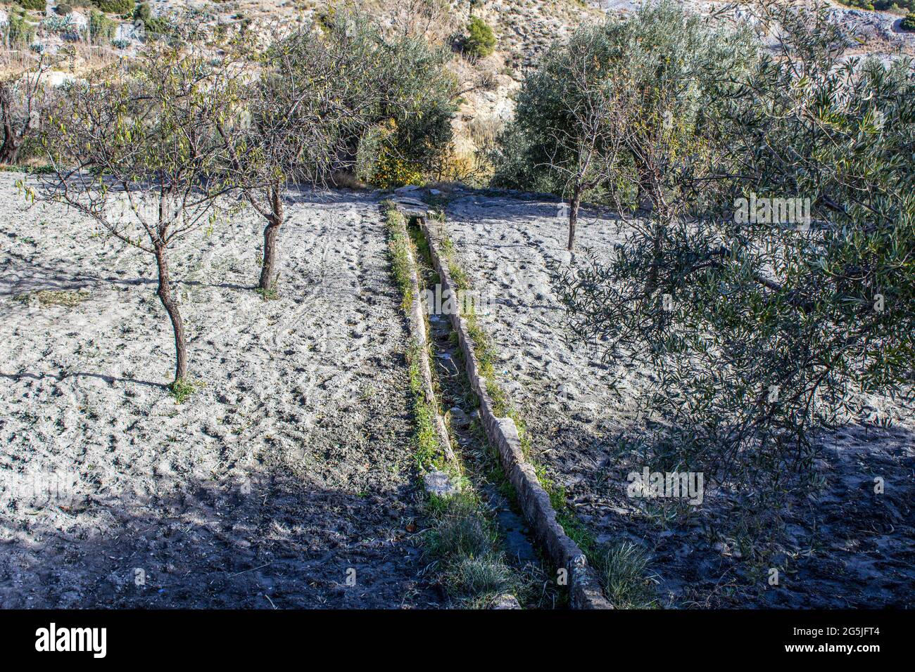 Bewässerungssystem, das in Spanien zum Bewässern der Obstbäume verwendet wird Stockfoto