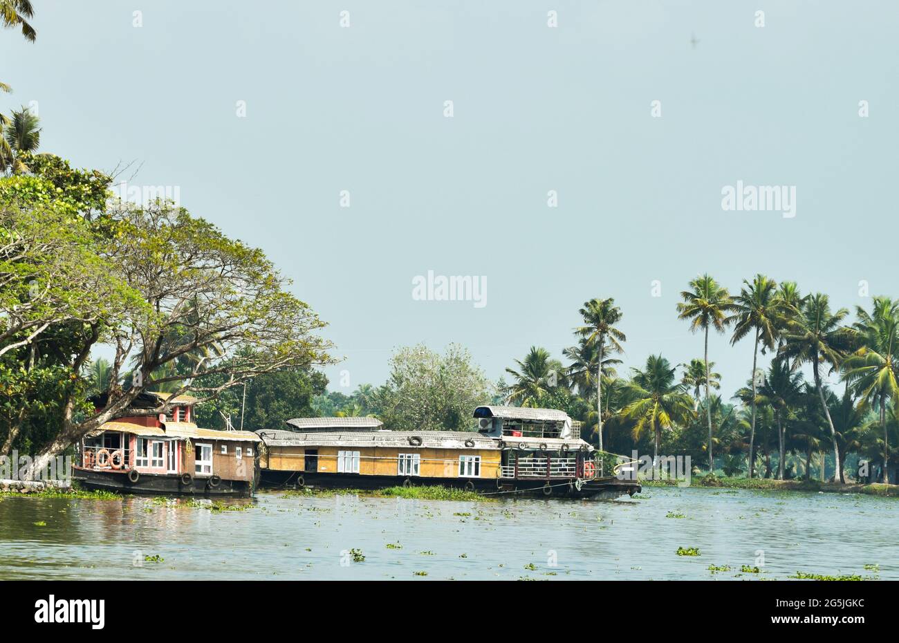 Eine wunderschöne Kulisse aus Backwaters in kerala indien Stockfoto