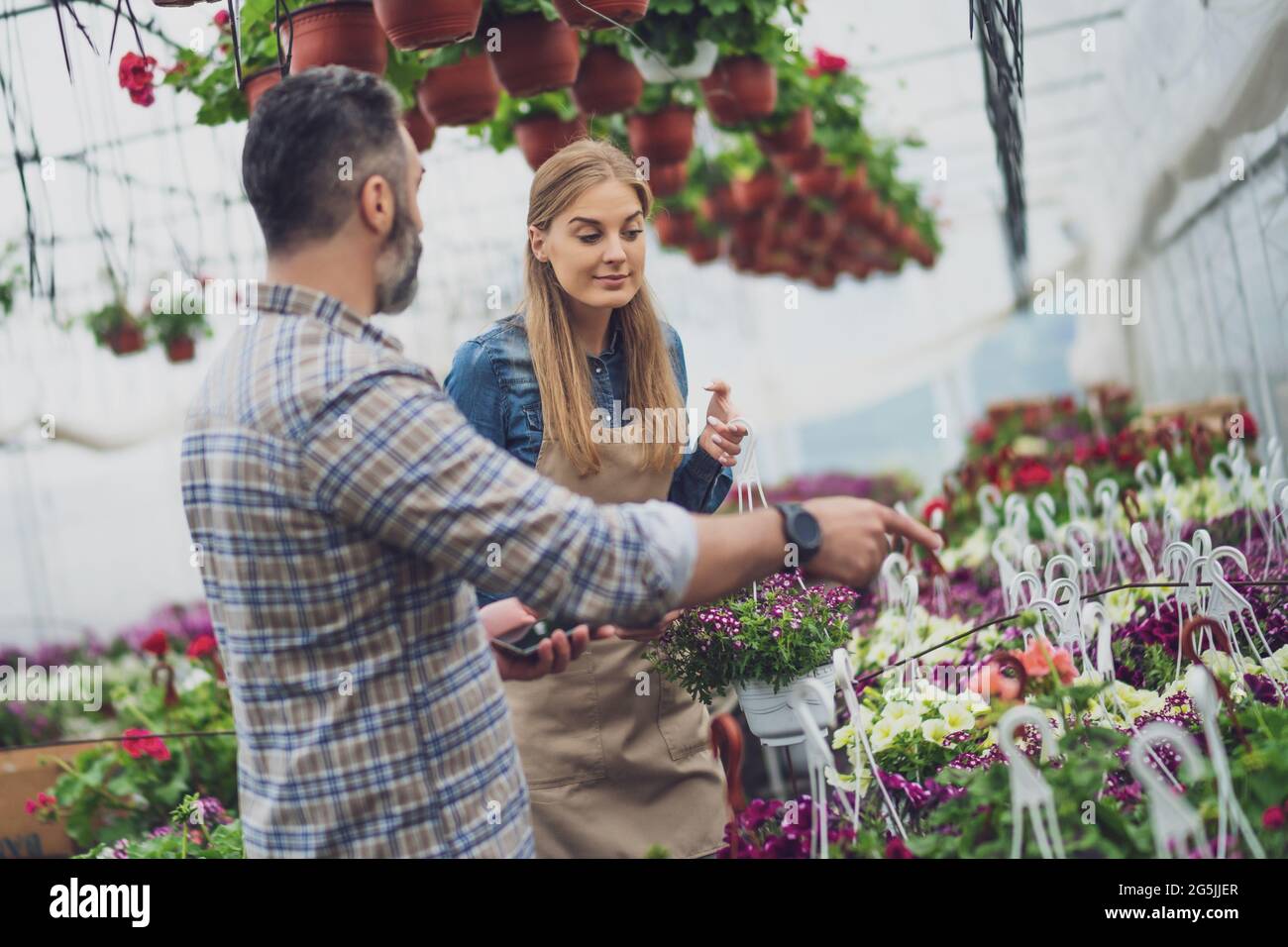 Das Paar besitzt ein Gewächshaus für kleine Unternehmen. Sie untersuchen Pflanzen. Stockfoto