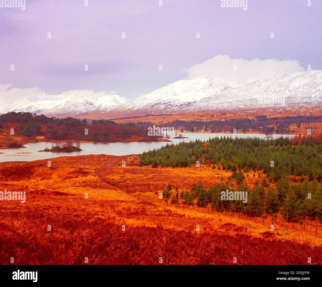 Großbritannien, Schottland, mit Blick auf Loch Tulla, Winter, Stockfoto