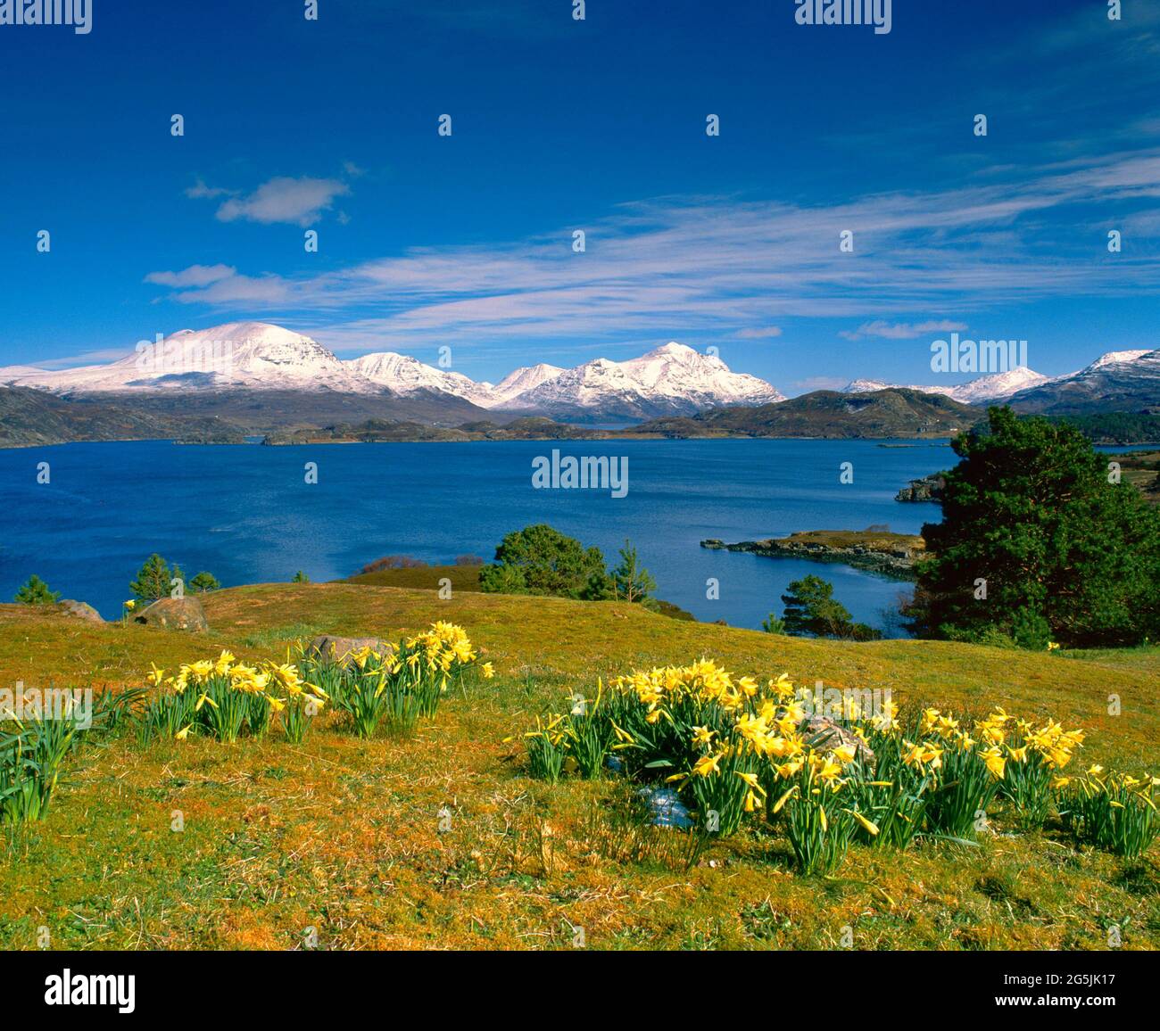 Großbritannien, Schottland, Highlands, Wester Ross, Loch Shieldaig, Frühlingslandschaft, mit Narzissen, Stockfoto