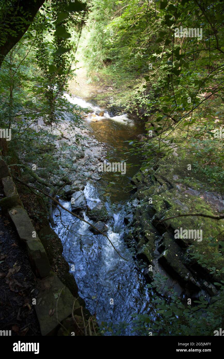 Wasser fließt einen Bach oder Fluss hinunter über Felsen. Ruhig. Friedlich. Abgelegen. Stockfoto