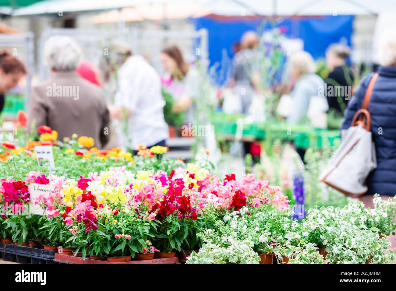 Blumenmarkt mit verschwommenen Menschen.verschwommener Hintergrund.Frühling, Sommermarkt. Stockfoto