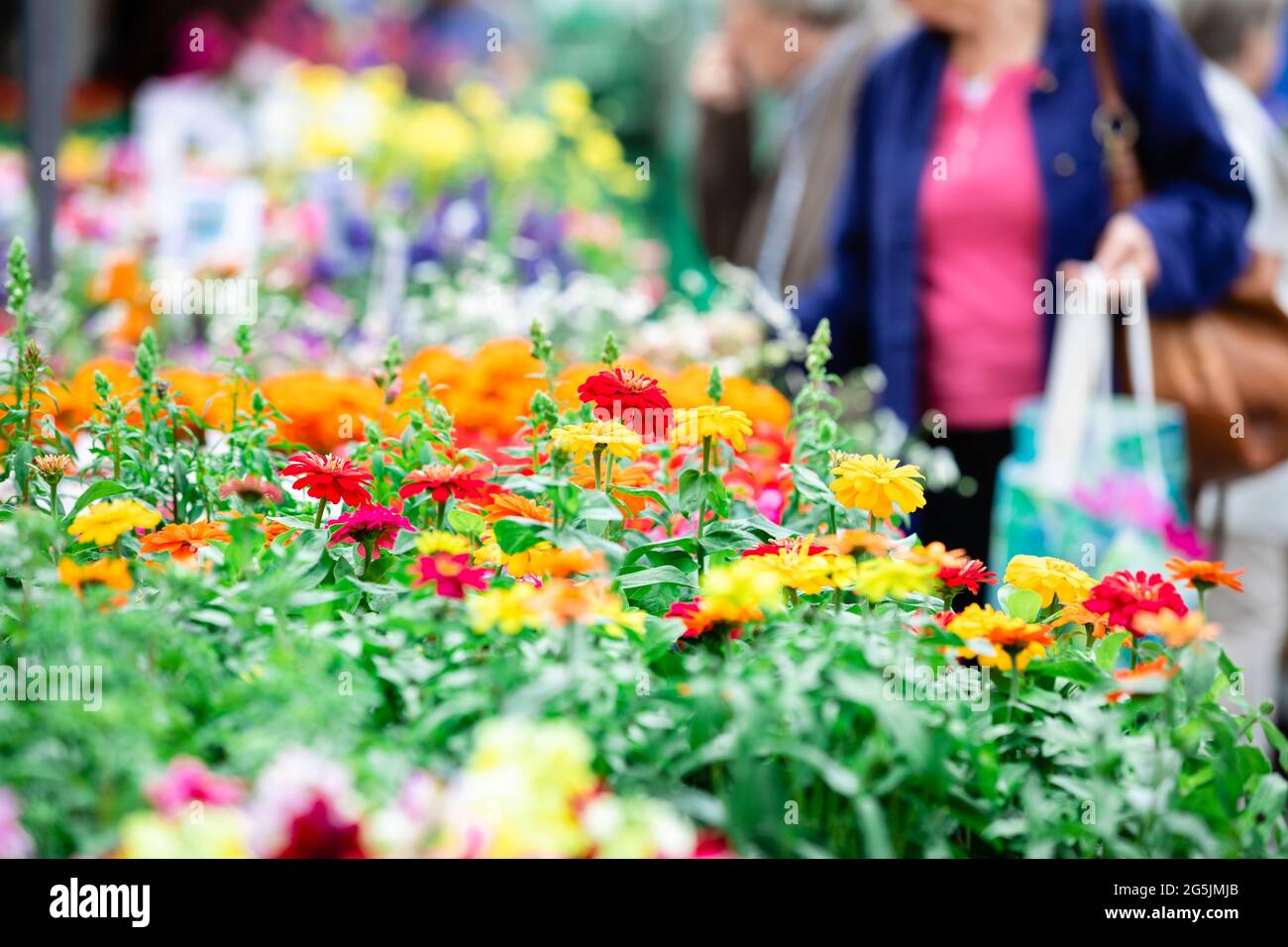 Verschwommene Leute, die auf dem Blumenmarkt kaufen.Frühling, Sommermarkt.verschwommener Hintergrund. Stockfoto