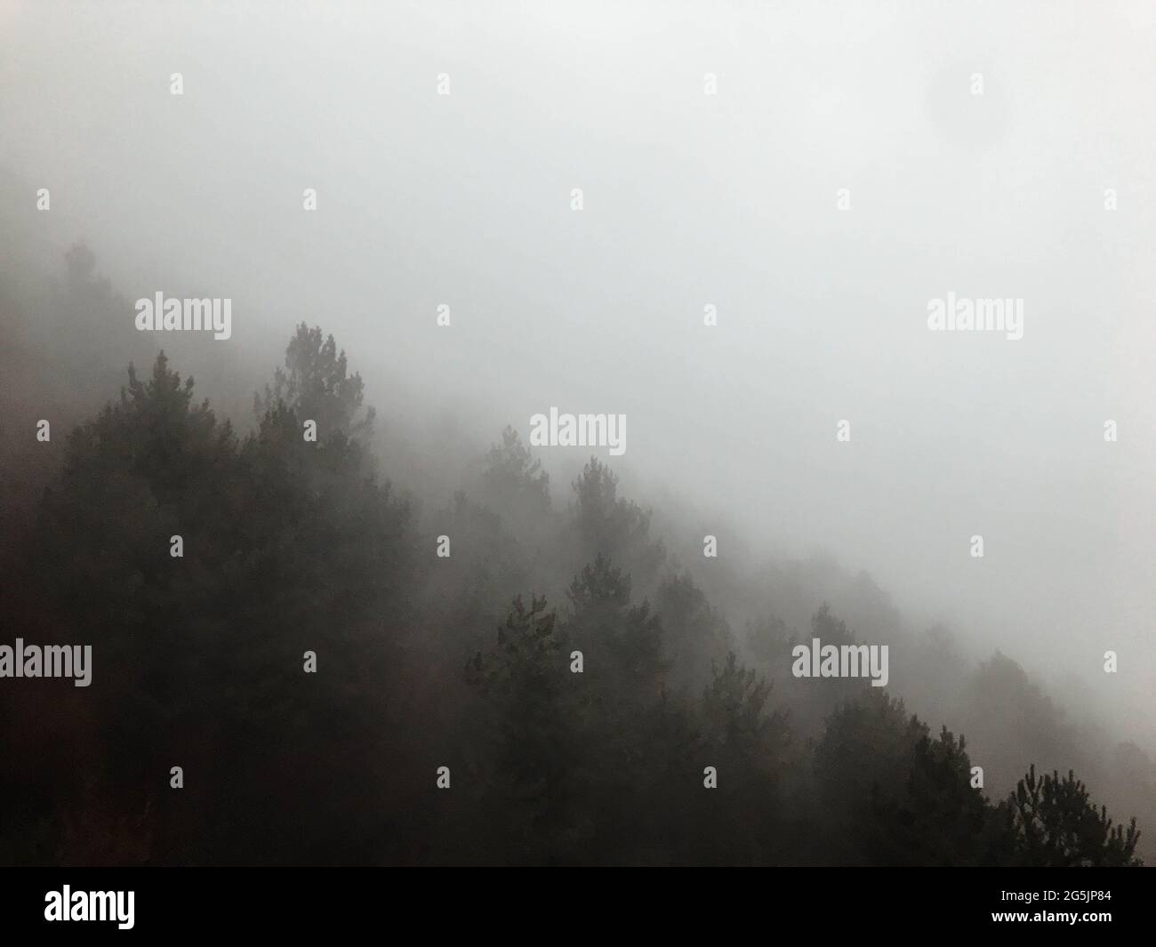Nebel in der Natur Stockfoto